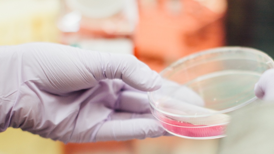 BRC voedselveiligheid lab