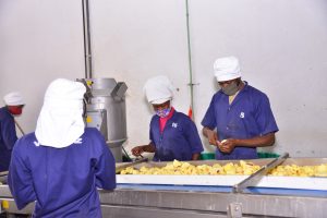 Food Safety Africa