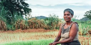 FOGA iMIS Food Global