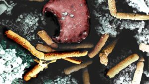 Pathogene bacteriën HACCP Gevarentabel