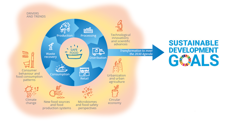 Important drivers and trends related to agrifood systems and food safety.