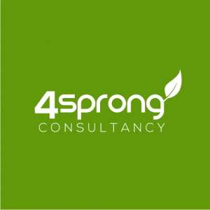 4Sprong Consultancy