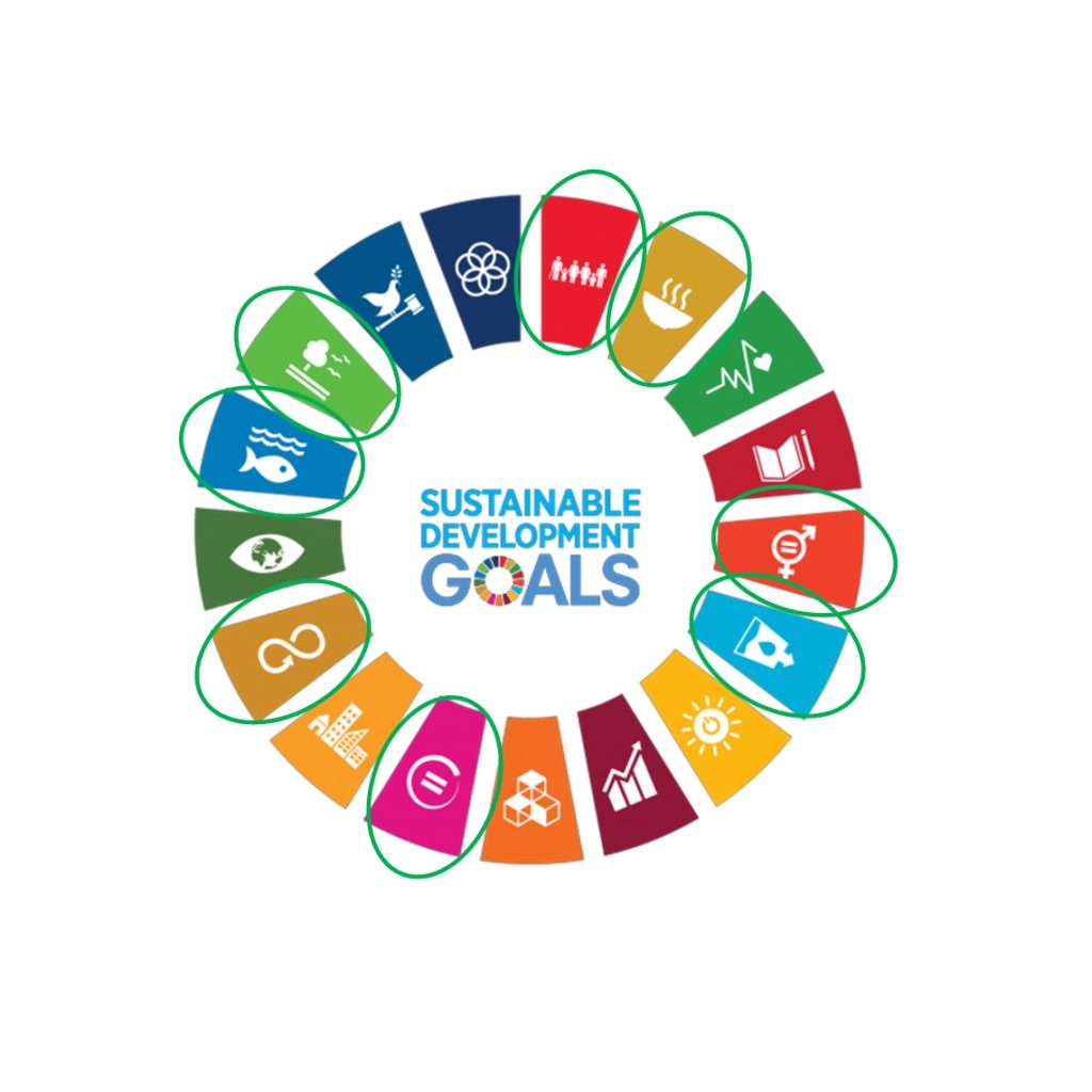 SDGs indicators for food and agriculture